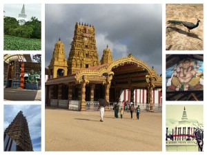 jaffna-collage